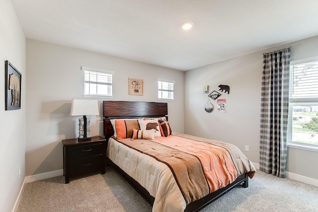 205 Snowdrop Trl, Waconia, MN 55387 - bedroom with light colored carpet and baseboards