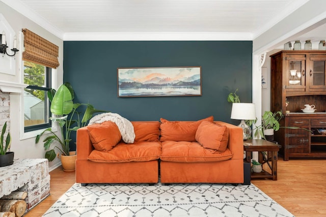 3338 Brownlow Ave, Saint Louis Park, MN 55426 - living room featuring ornamental molding and light wood-type flooring