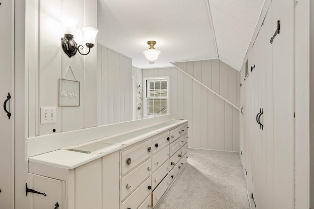3338 Brownlow Ave, Saint Louis Park, MN 55426 - spacious closet with light carpet and vaulted ceiling