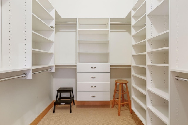 view of walk in closet