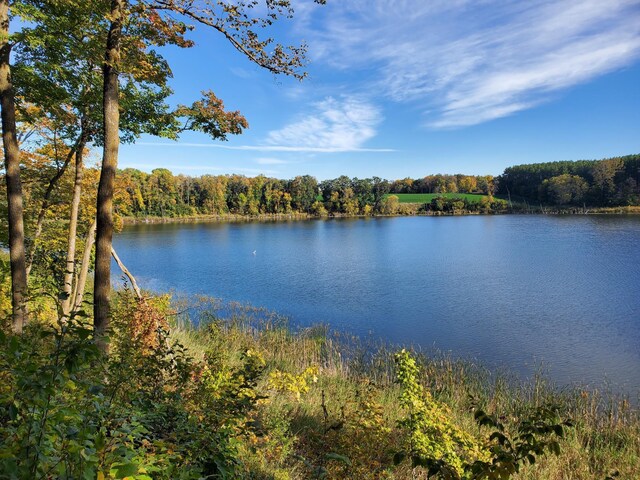 TBD W Lake Olaf Rd, Pelican Rapids, MN 56572 - photo 1