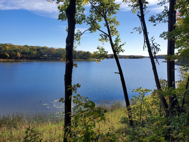 TBD W Lake Olaf Rd, Pelican Rapids, MN 56572 - photo 5