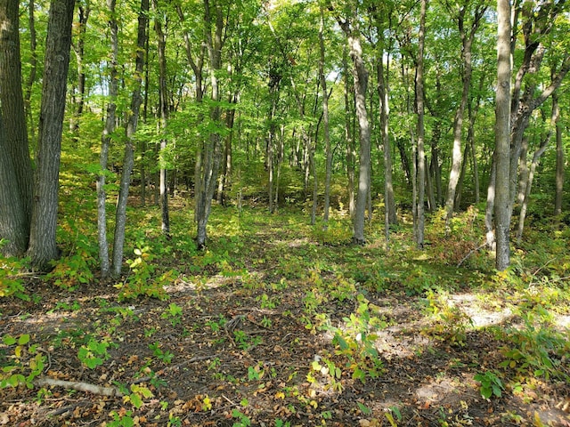 TBD W Lake Olaf Rd, Pelican Rapids, MN 56572 - photo 6