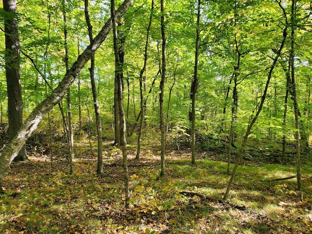 TBD W Lake Olaf Rd, Pelican Rapids, MN 56572 - photo 7