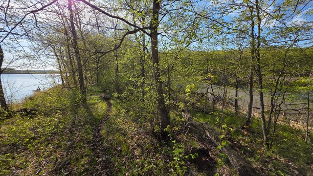 TBD W Lake Olaf Rd, Pelican Rapids, MN 56572 - photo 27