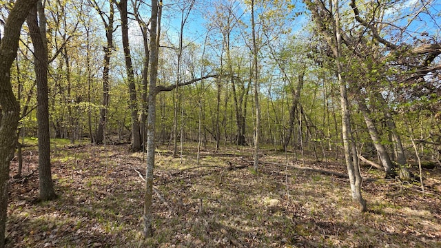 TBD W Lake Olaf Rd, Pelican Rapids, MN 56572 - photo 29