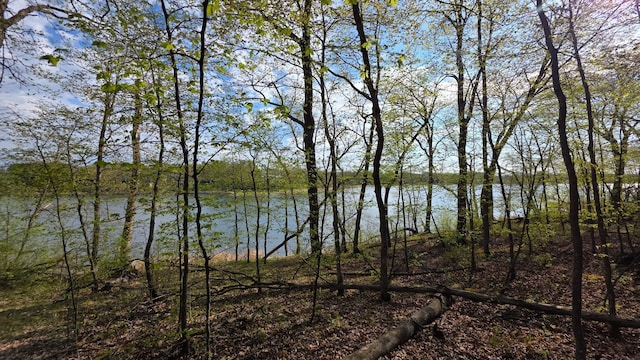 TBD W Lake Olaf Rd, Pelican Rapids, MN 56572 - photo 31