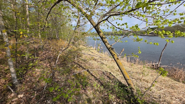TBD W Lake Olaf Rd, Pelican Rapids, MN 56572 - photo 33