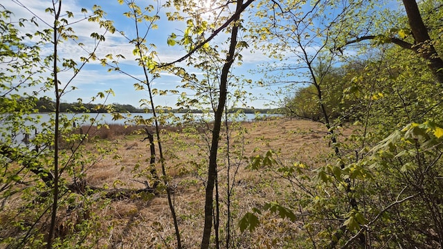 TBD W Lake Olaf Rd, Pelican Rapids, MN 56572 - photo 34
