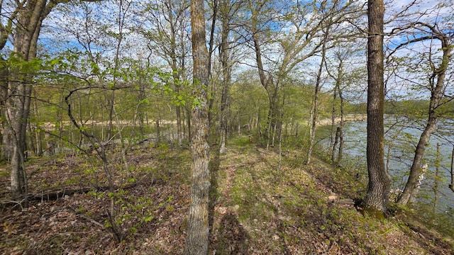 TBD W Lake Olaf Rd, Pelican Rapids, MN 56572 - photo 37