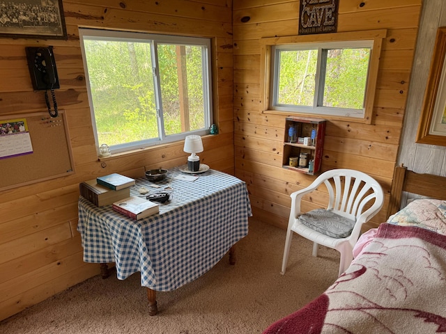 27721 Northwoods Dr, Laporte, MN 56461 - carpeted office featuring plenty of natural light and wood walls