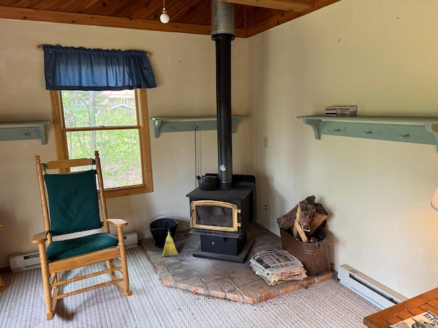 27721 Northwoods Dr, Laporte, MN 56461 - living room featuring a wood stove, a baseboard radiator, and baseboards