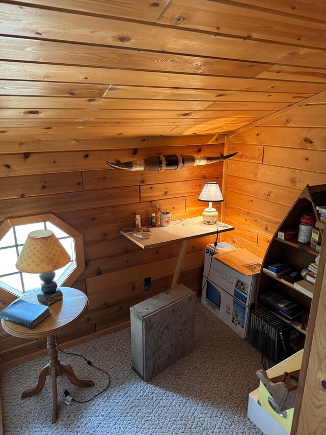 27721 Northwoods Dr, Laporte, MN 56461 - sauna / steam room featuring wooden walls, carpet, and wood ceiling
