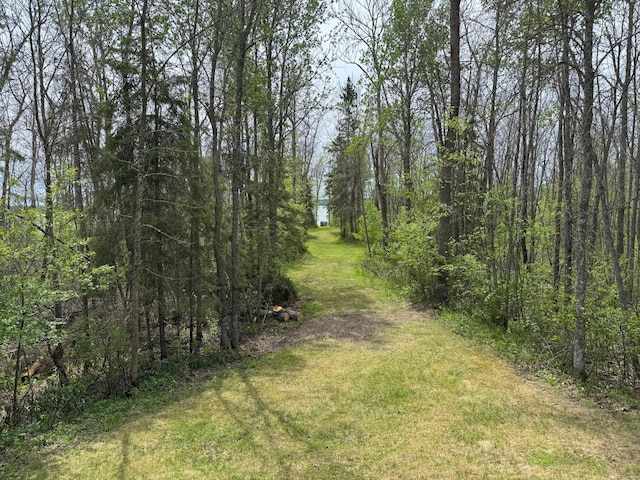 27721 Northwoods Dr, Laporte, MN 56461 - view of wooded area