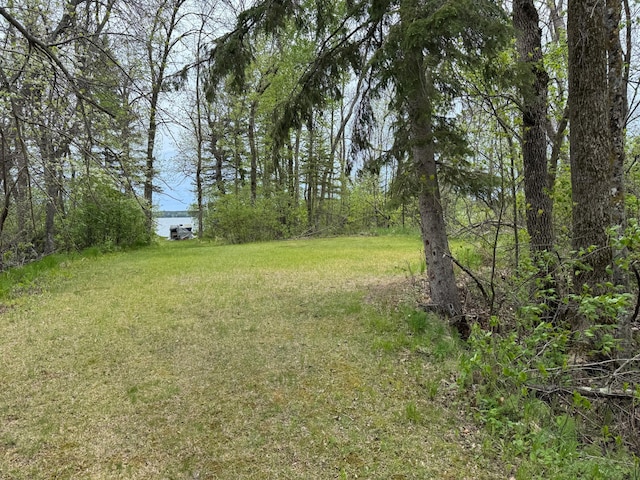 27721 Northwoods Dr, Laporte, MN 56461 - view of grassy yard