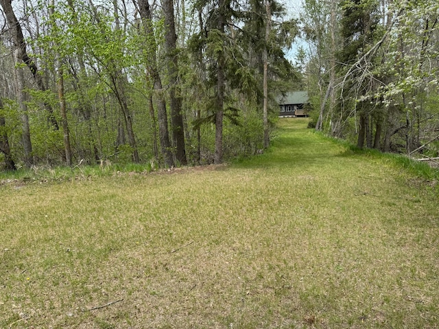 27721 Northwoods Dr, Laporte, MN 56461 - view of grassy yard