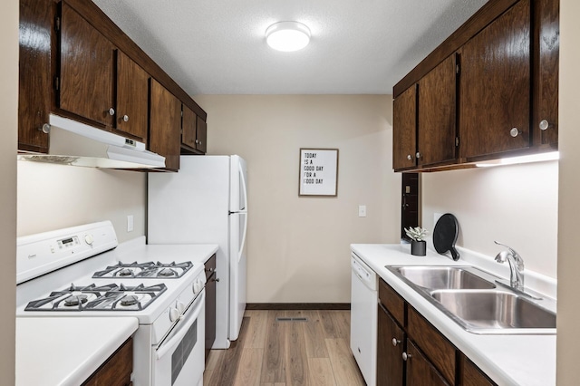 1940 Dupont Ave S, Minneapolis, MN 55403 - kitchen featuring white appliances, under cabinet range hood, a sink, light wood finished floors, and dark brown cabinetry