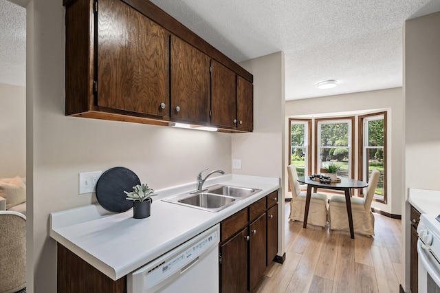 1940 Dupont Ave S, Minneapolis, MN 55403 - kitchen featuring white dishwasher, a sink, light wood-style flooring, light countertops, and dark brown cabinetry