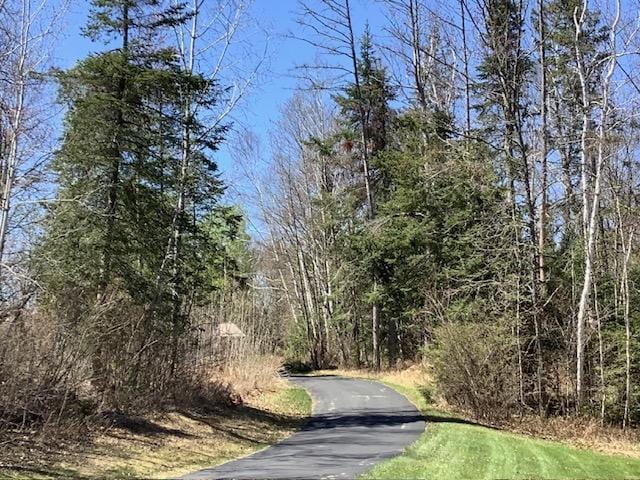 19323 Wendigo Park Rd, Harris Twp, MN 55744 - view of street with a wooded view