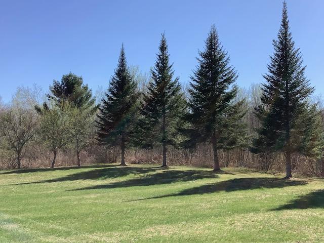 19323 Wendigo Park Rd, Harris Twp, MN 55744 - view of green lawn