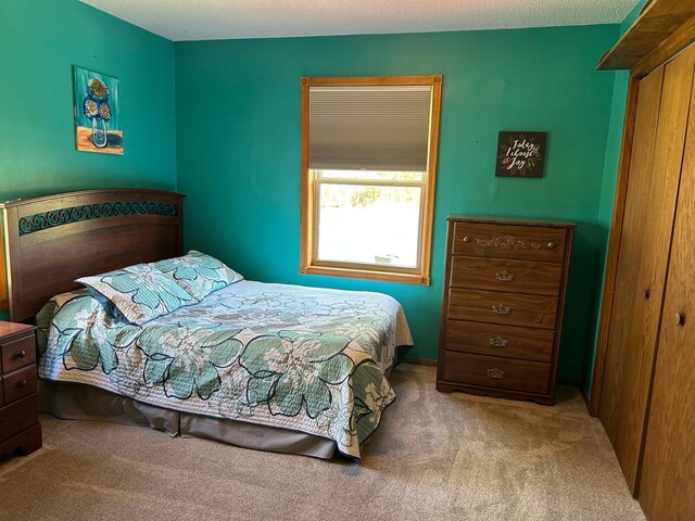 19323 Wendigo Park Rd, Harris Twp, MN 55744 - carpeted bedroom with a closet