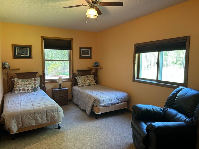 19323 Wendigo Park Rd, Harris Twp, MN 55744 - bedroom featuring carpet and ceiling fan