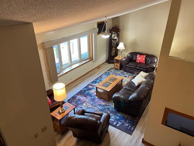 19323 Wendigo Park Rd, Harris Twp, MN 55744 - living room with a textured ceiling and wood finished floors