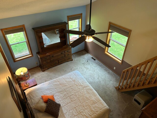 19323 Wendigo Park Rd, Harris Twp, MN 55744 - carpeted bedroom featuring multiple windows and baseboards