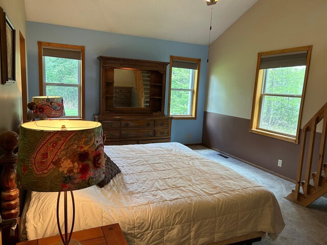 19323 Wendigo Park Rd, Harris Twp, MN 55744 - bedroom with carpet flooring, vaulted ceiling, and baseboards