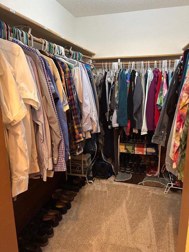 19323 Wendigo Park Rd, Harris Twp, MN 55744 - walk in closet featuring carpet floors