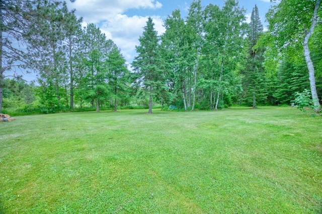 12885 Sturgeon Rd, Side Lake, MN 55781 - photo 9