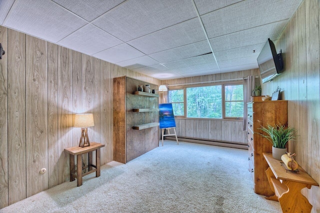 12885 Sturgeon Rd, Side Lake, MN 55781 - photo 28