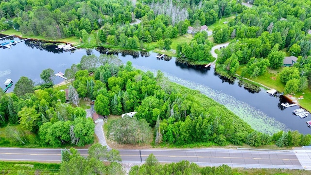 12885 Sturgeon Rd, Side Lake, MN 55781 - photo 31