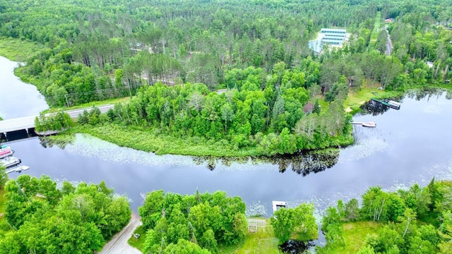 12885 Sturgeon Rd, Side Lake, MN 55781 - photo 34