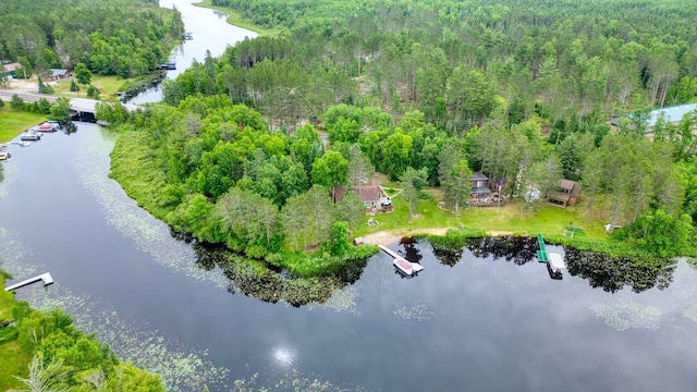 12885 Sturgeon Rd, Side Lake, MN 55781 - photo 35