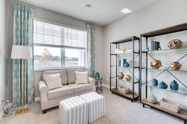 living area with carpet and baseboards