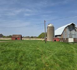 31190 181st, New Prague, MN 56071 - view of grassy yard with a barn and an outdoor structure