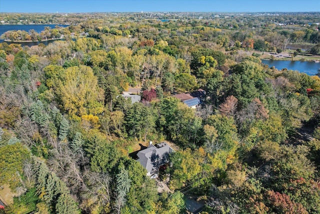 771 County Road B2 E, Little Canada, MN 55117 - aerial view of property's location with a forest and a large body of water