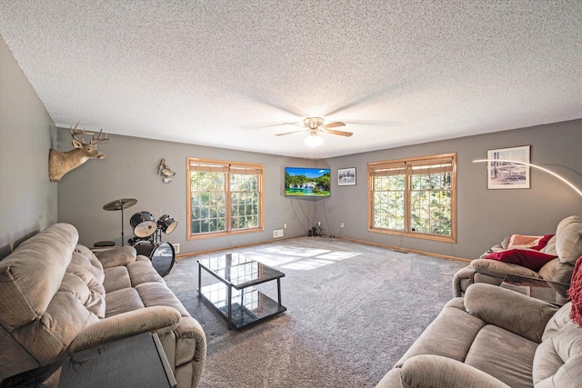 771 County Road B2 E, Little Canada, MN 55117 - carpeted living area featuring plenty of natural light, a ceiling fan, and a textured ceiling