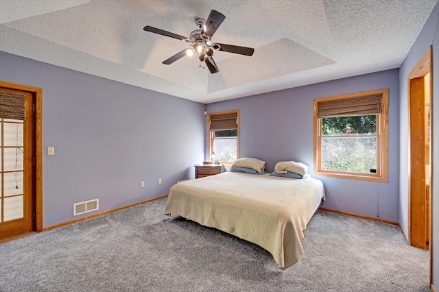771 County Road B2 E, Little Canada, MN 55117 - bedroom featuring multiple windows, carpet floors, a raised ceiling, and a textured ceiling