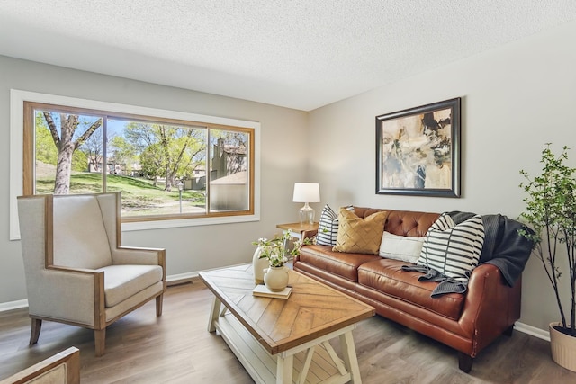 living area featuring wood finished floors, baseboards, and a textured ceiling