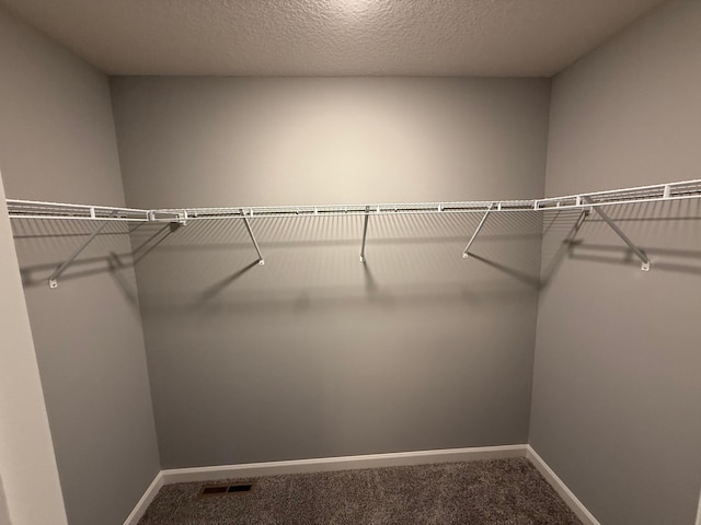 spacious closet with carpet flooring