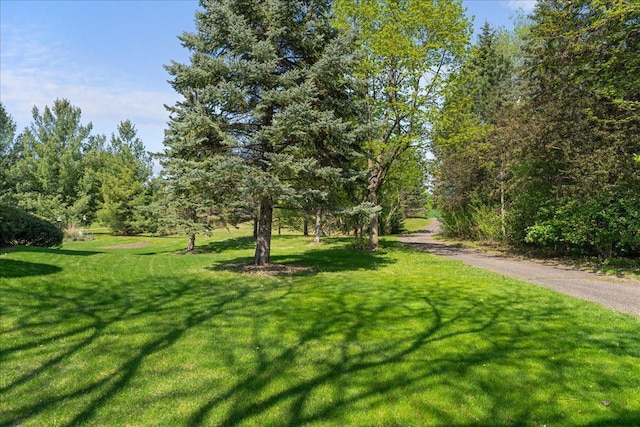 view of property's community featuring a lawn