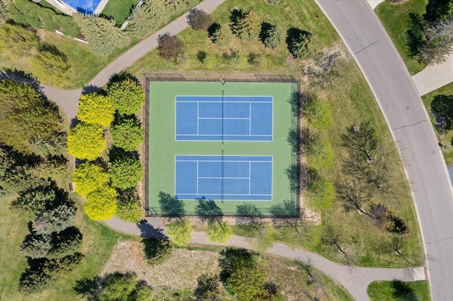 bird's eye view