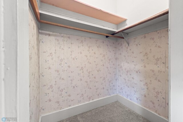 walk in closet with carpet