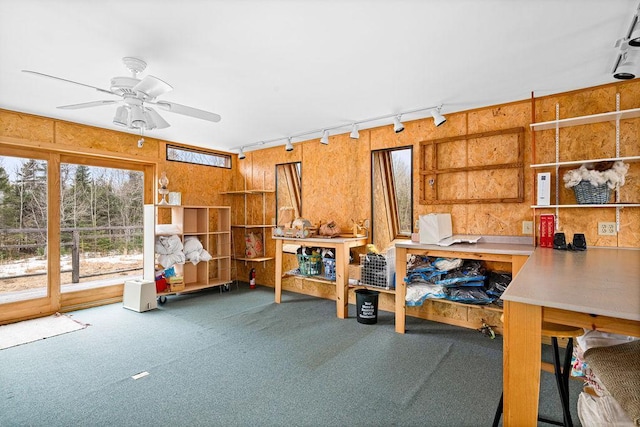 3213 Alger Grade, Silver Creek Twp, MN 55616 - miscellaneous room featuring track lighting, carpet, healthy amount of natural light, and a ceiling fan