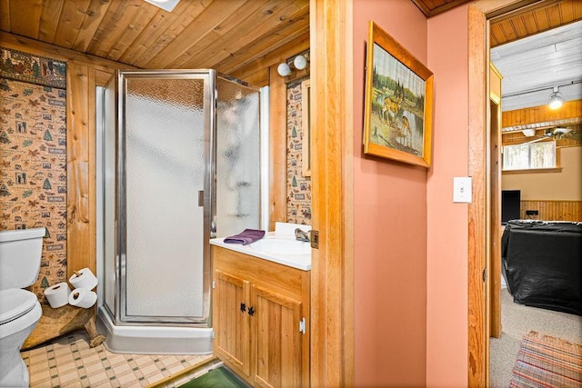 3213 Alger Grade, Silver Creek Twp, MN 55616 - bathroom featuring toilet, vanity, a stall shower, and wood ceiling