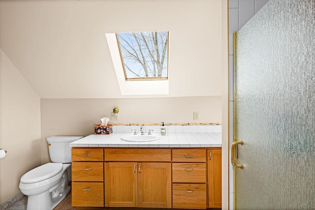 3213 Alger Grade, Silver Creek Twp, MN 55616 - bathroom with vanity, toilet, a skylight, and a shower stall