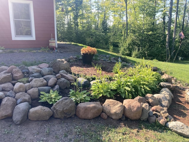 3213 Alger Grade, Silver Creek Twp, MN 55616 - view of yard