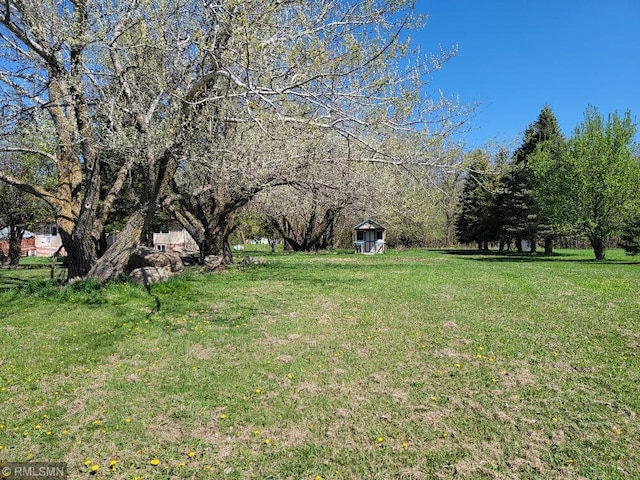 view of grassy yard